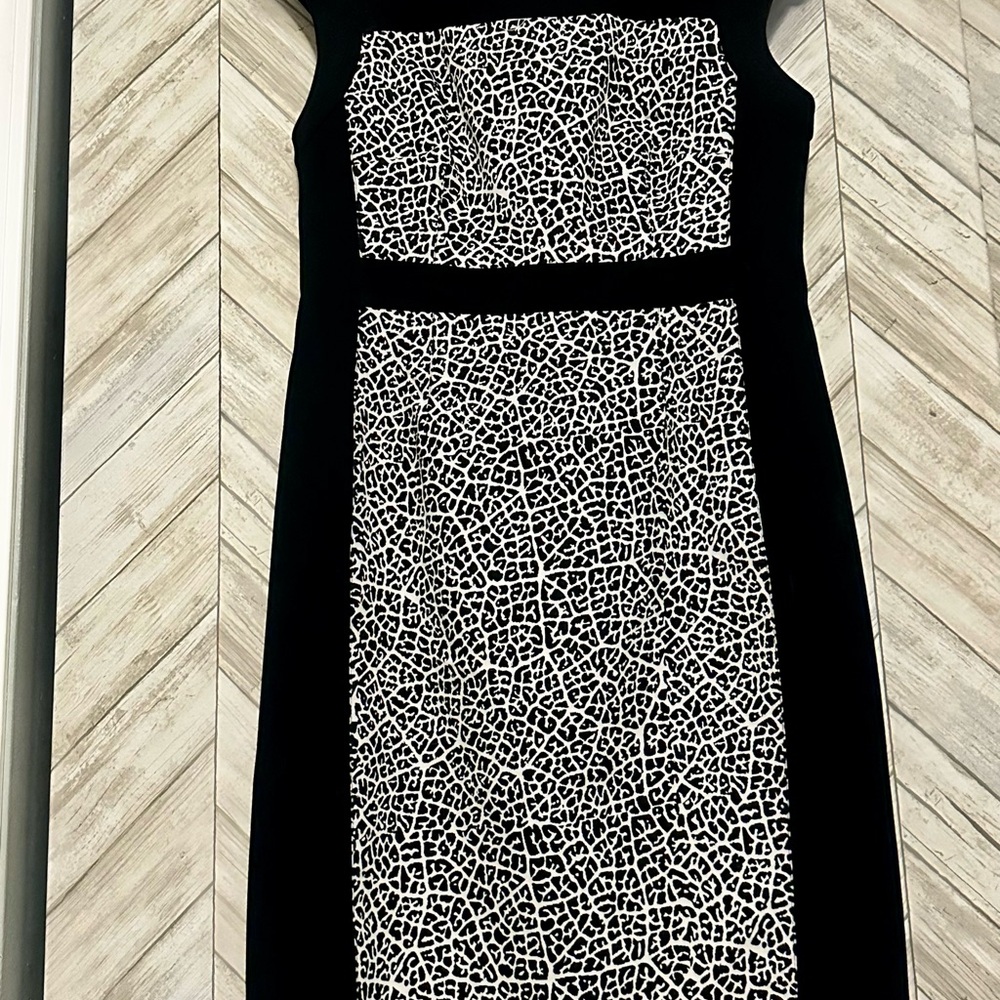 Adrianna Papell Black and White Midi Dress